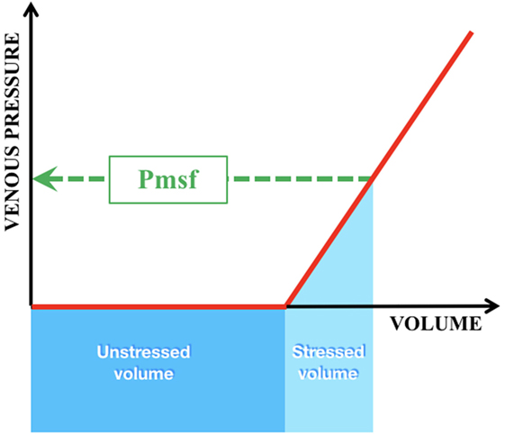 www.frontiersin.org