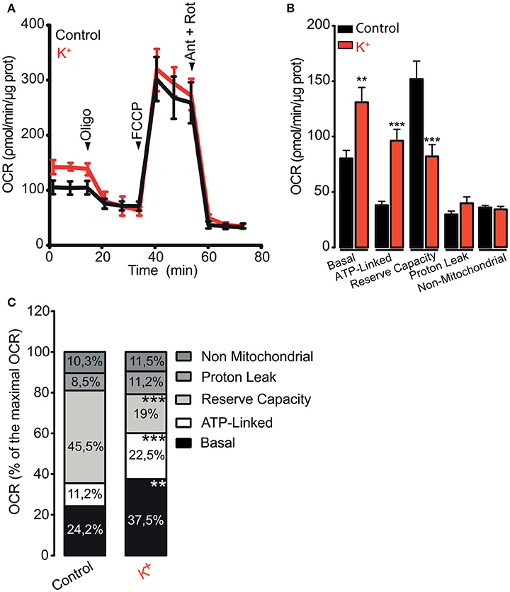 Frontiers | Mitochondrial Calcium Increase Induced by RyR1 and 