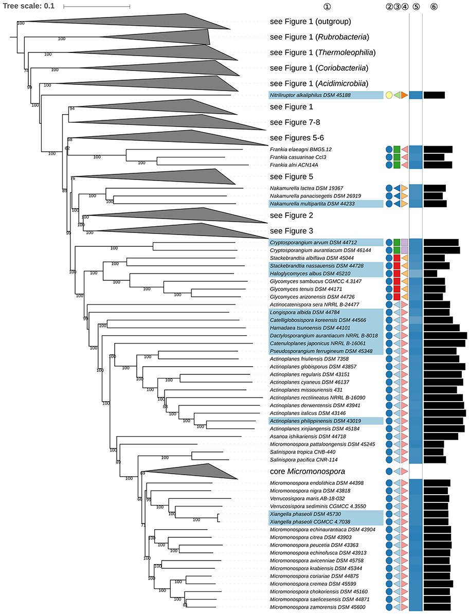 Microbiology Taxonomy Chart