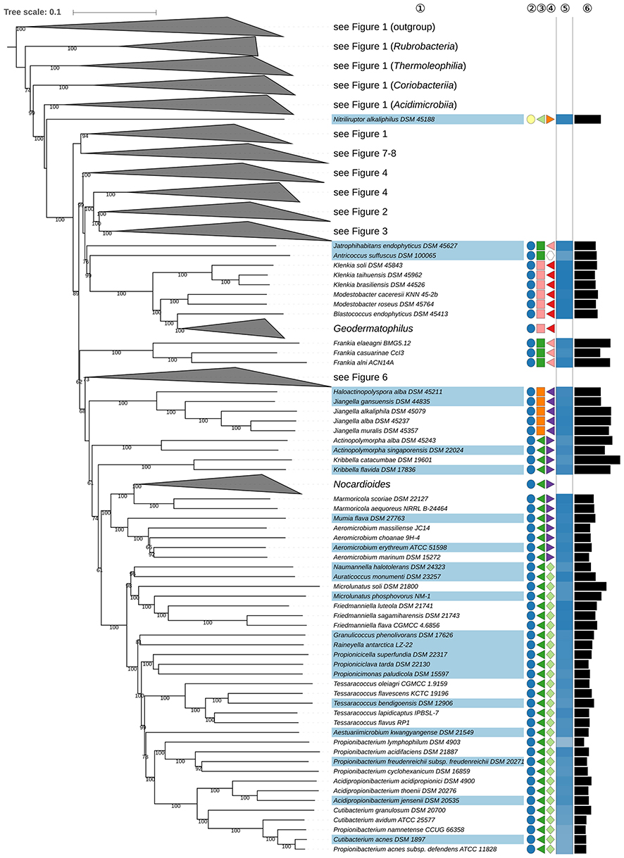 Microbiology Taxonomy Chart