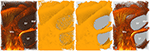 www.frontiersin.org