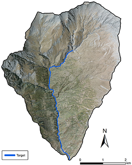 www.frontiersin.org