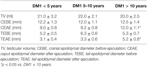 dm1 vs dm2