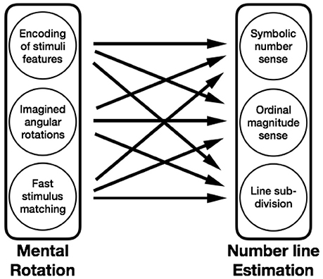 New Frontiers in Mathematical Reasoning