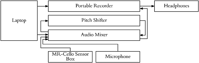 Frontiers | Partially Overlapping Brain Networks for Singing and Cello ...