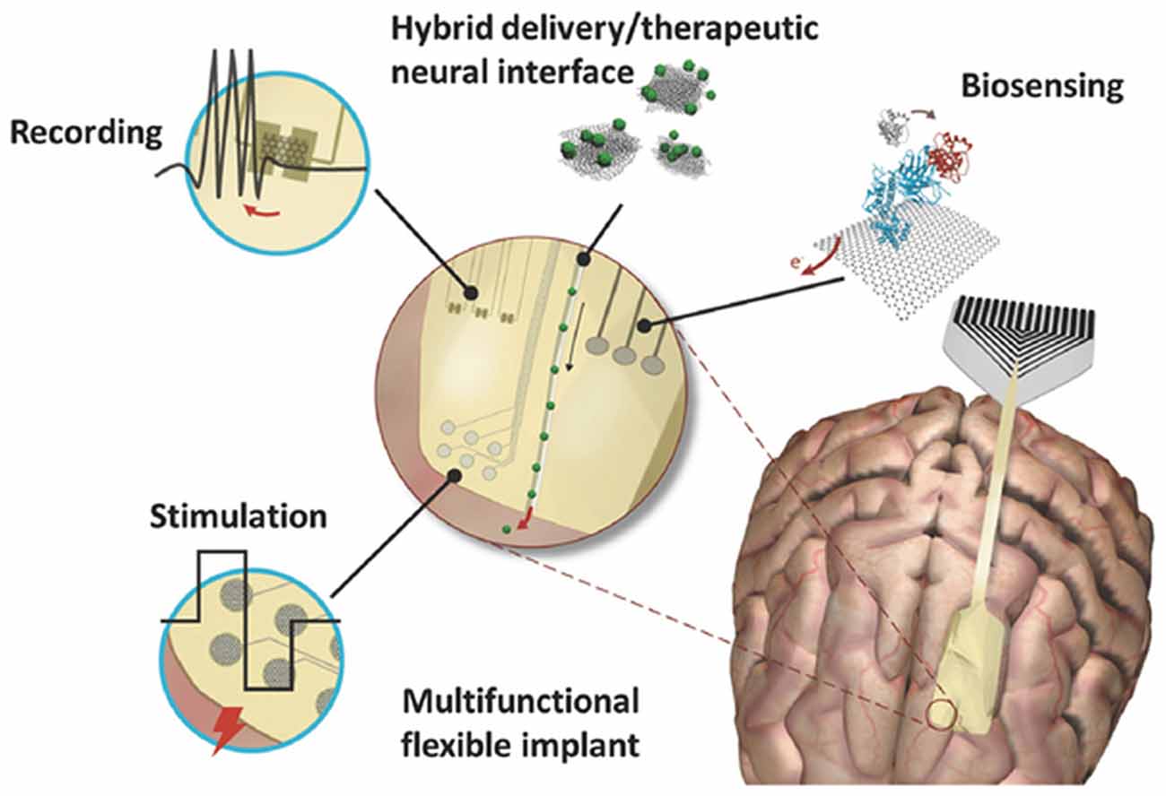 Soft Printable Electrode Coating for Neural Interfaces