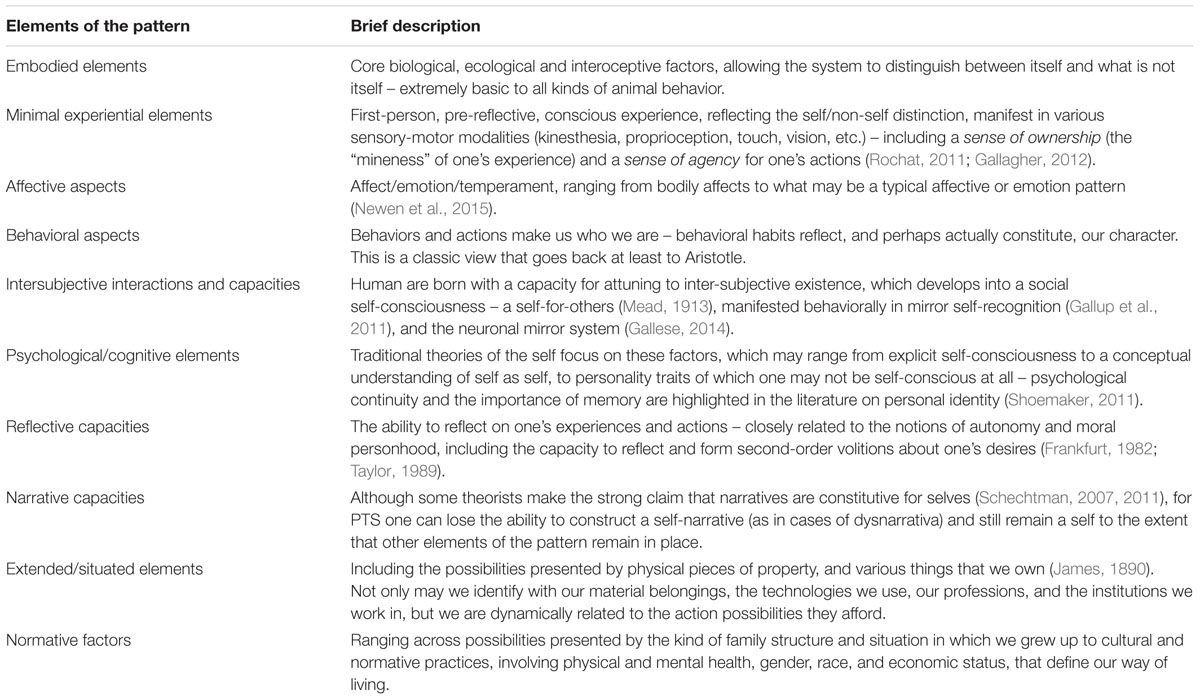 Frontiers  Dynamical Relations in the Self-Pattern