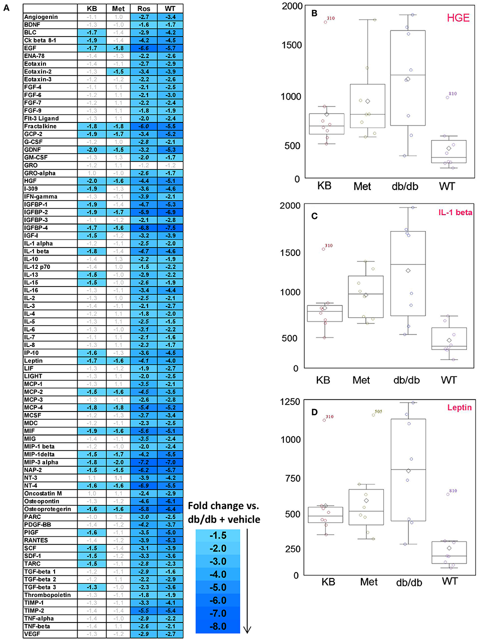 Iubmb Sigma Nicholson Metabolic Pathways Chart