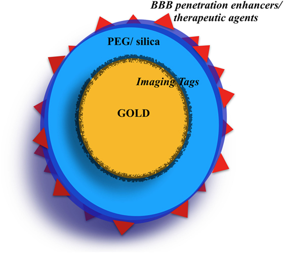 Frontiers - Gold Nanoparticles for Brain Tumor Imaging: A Systematic ...
