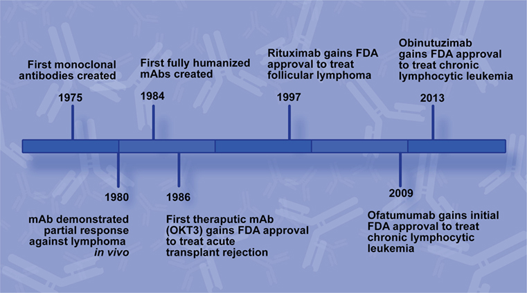 Frontiers Past Present And Future Of Rituximab The World S