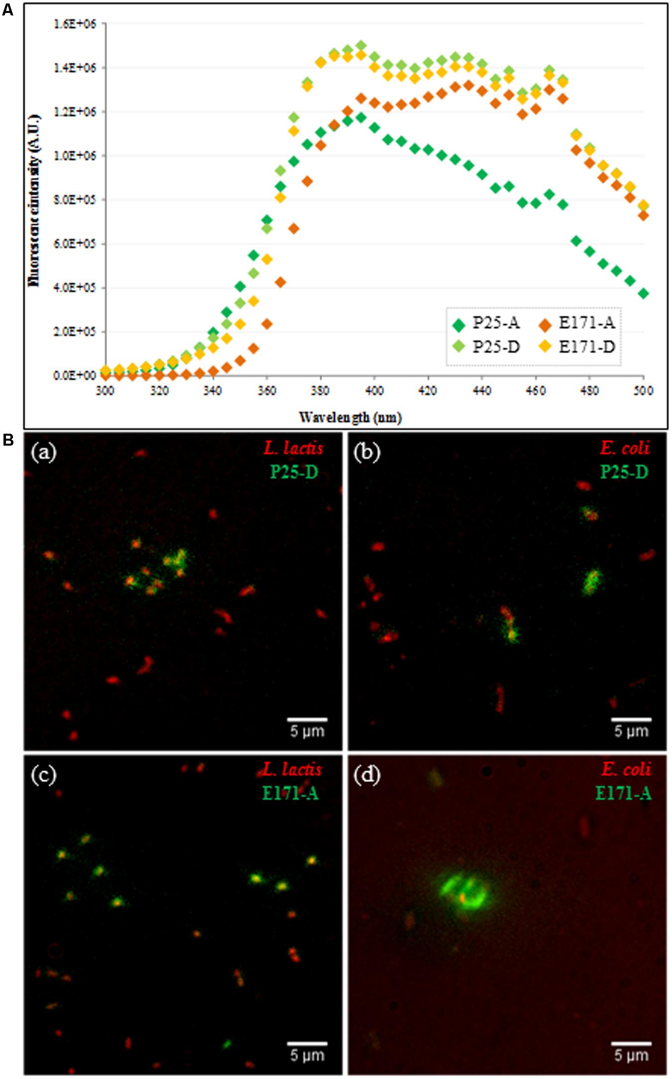 Food additive E171: findings of exposure to titanium dioxide nanoparticles