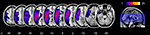 www.frontiersin.org