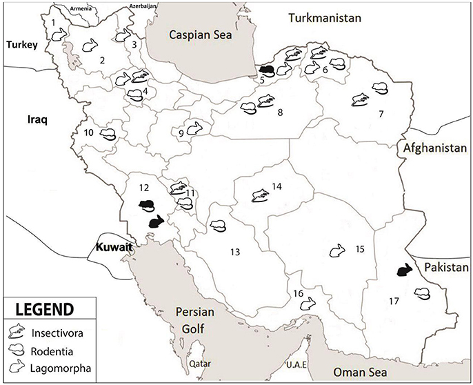 www.frontiersin.org