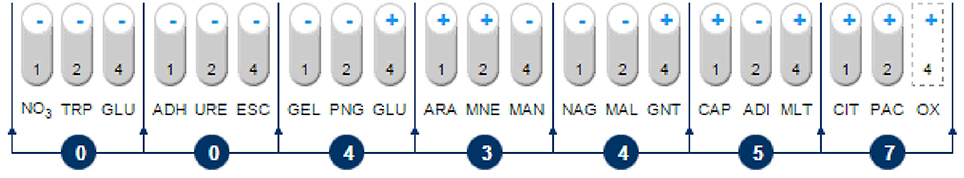 www.frontiersin.org
