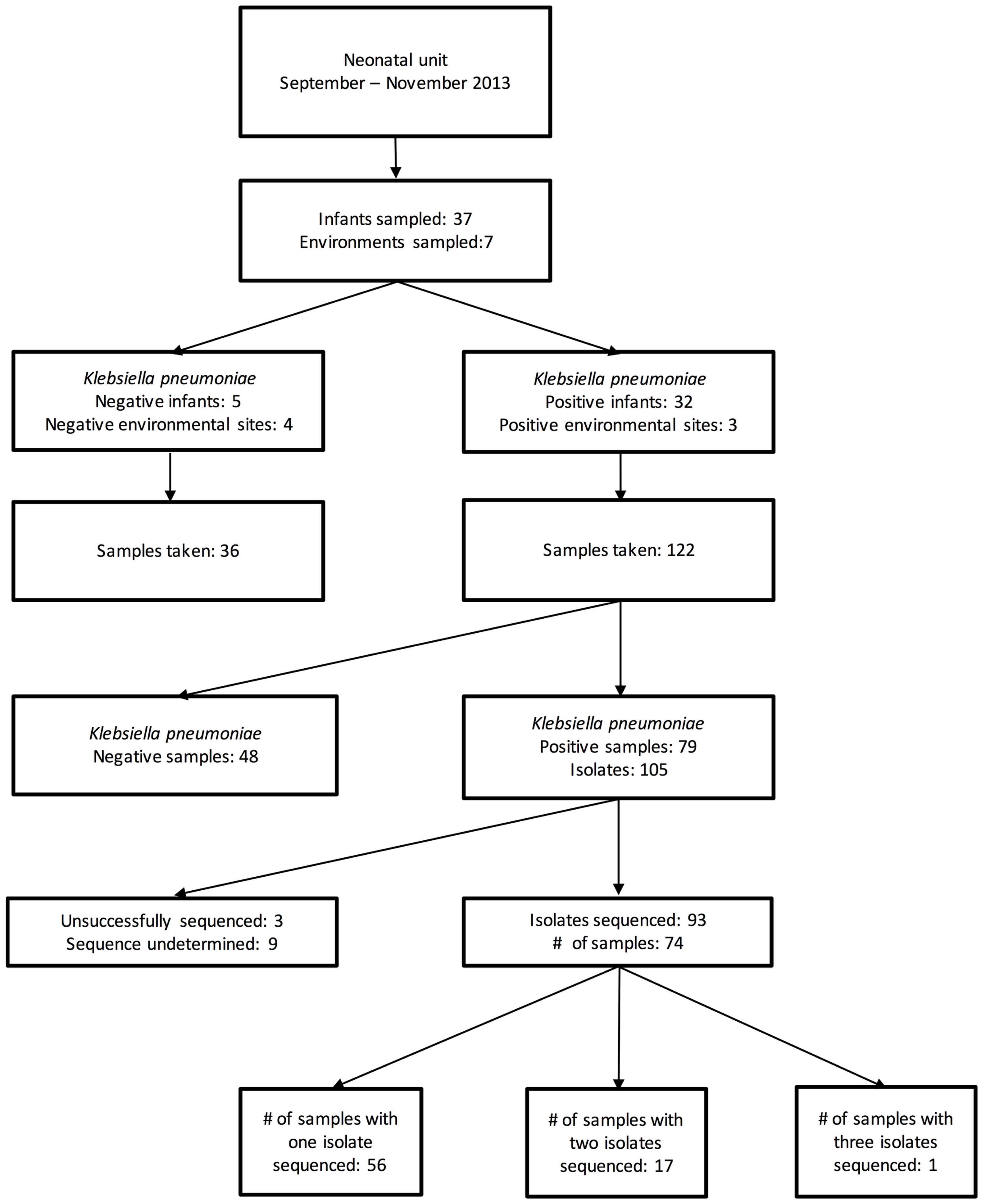 Klebsiella Pneumoniae Identification Flow Chart