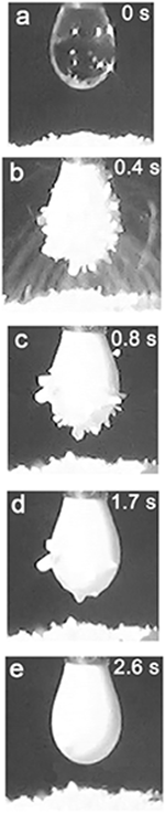 www.frontiersin.org