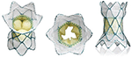 www.frontiersin.org