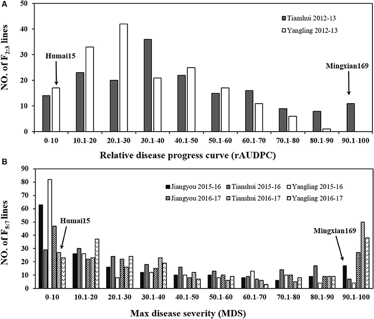 Frontiers | and Validation of Adult Plant to Stripe Rust in Chinese Wheat Landrace Humai | Plant Science