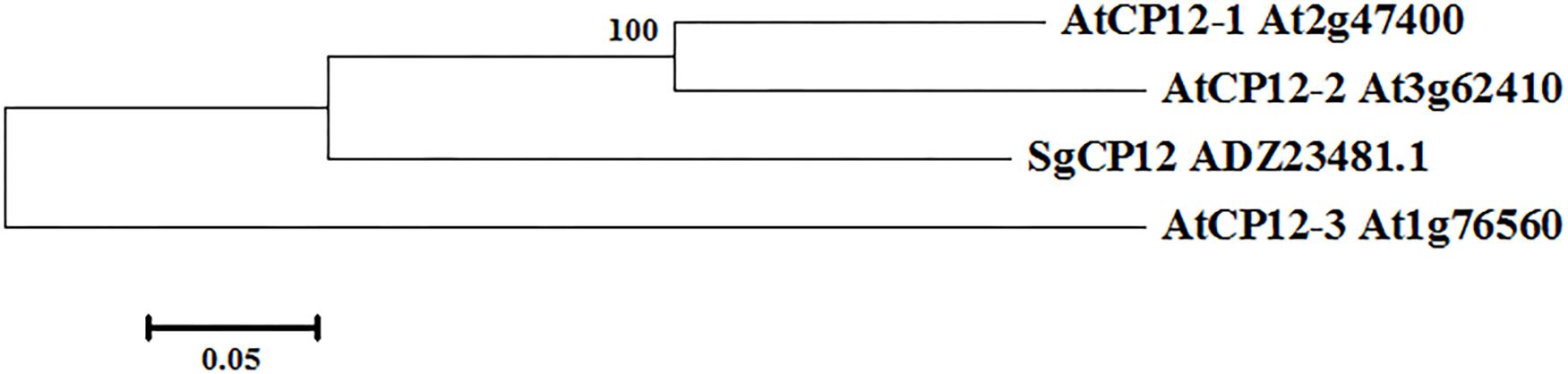 www.frontiersin.org