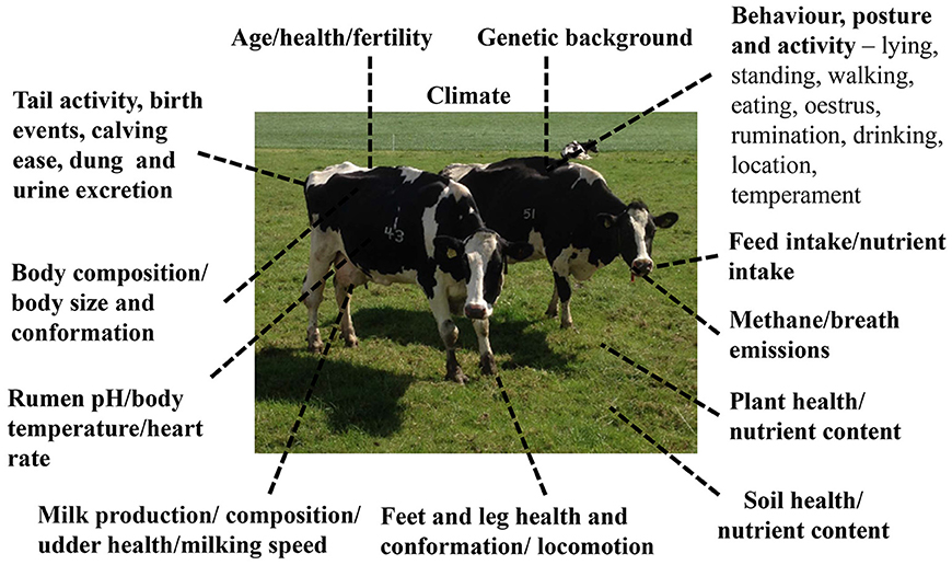 Frontiers | Novel Monitoring Systems to Obtain Dairy Cattle Phenotypes Associated With Sustainable Production