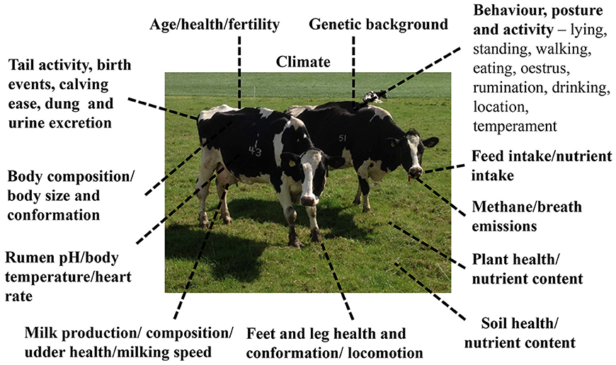 Cattle Feed Conversion Charts