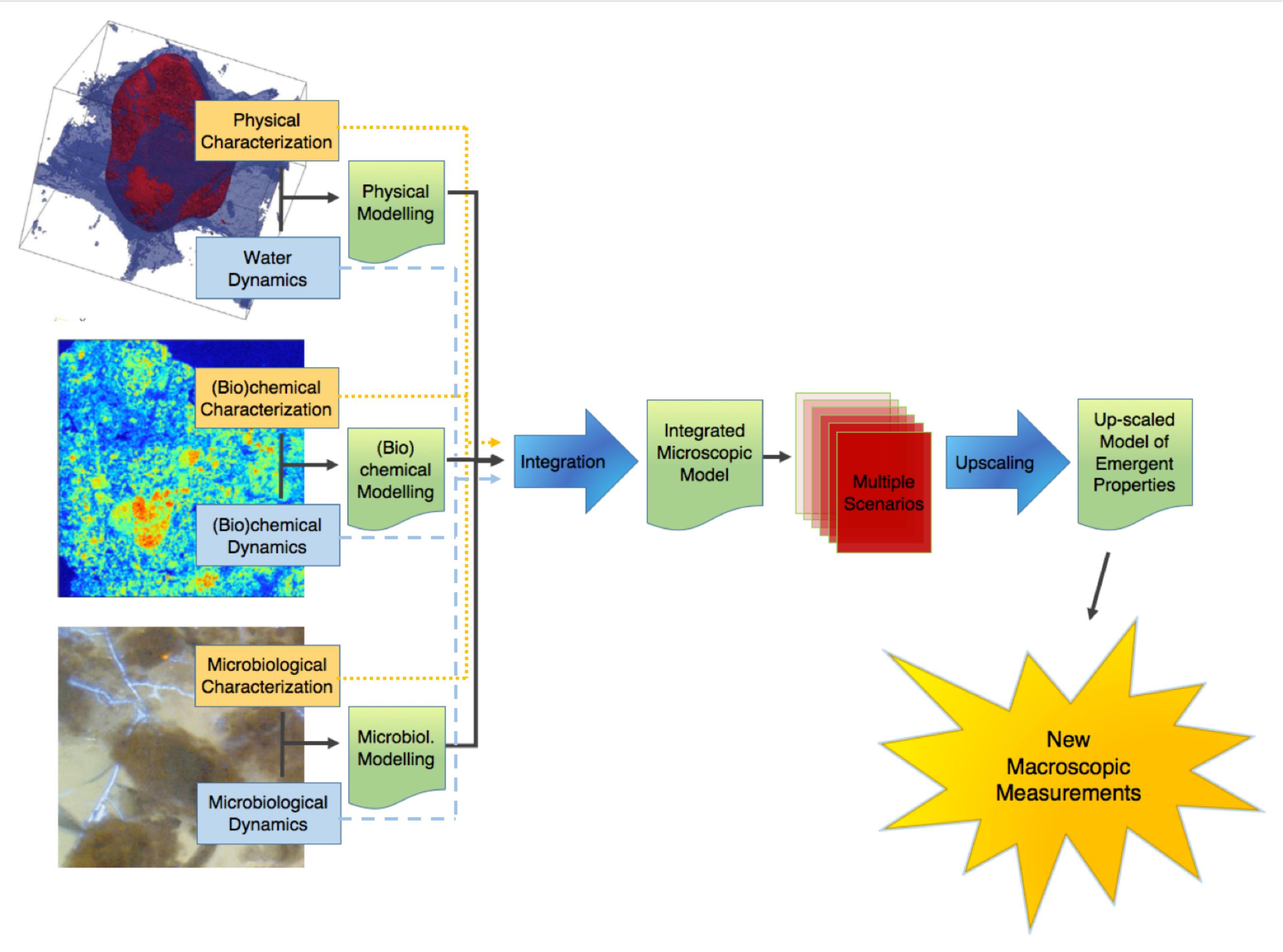 Frontiers Emergent Properties Of Microbial Activity In