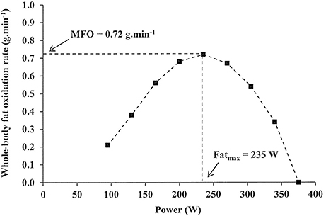 Fat oxidation rate