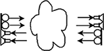 www.frontiersin.org
