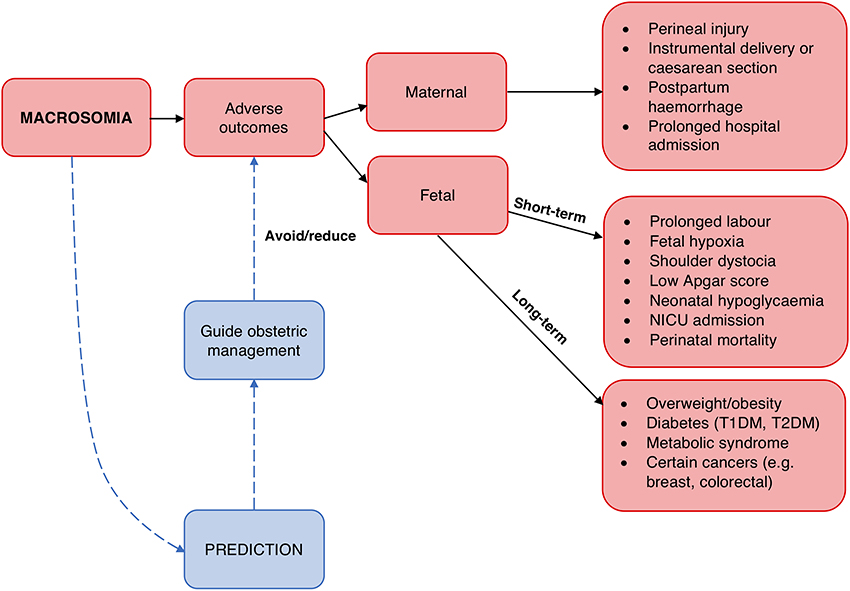 Glycomark Chart