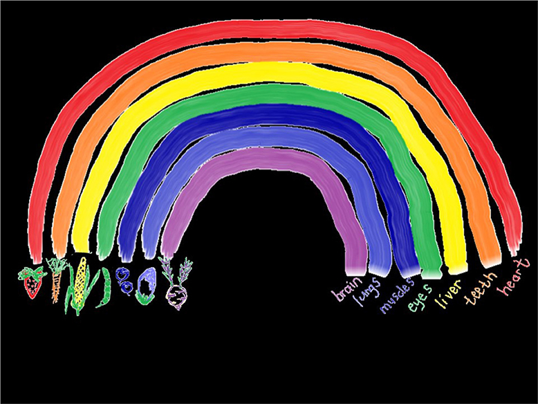 Figure 1 - The rainbow of phytochemical colours in our fruits and vegetables.