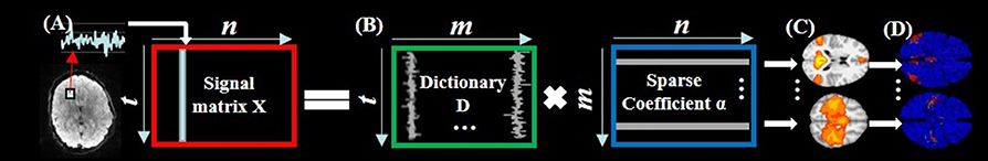 www.frontiersin.org