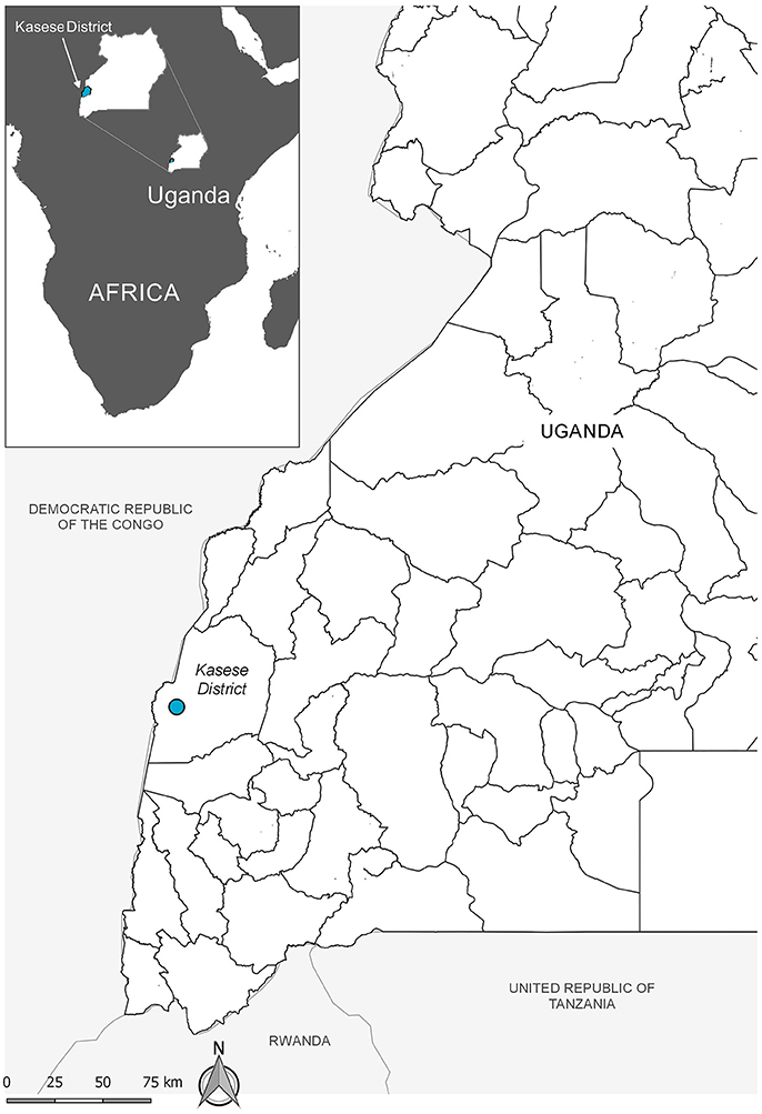 www.frontiersin.org