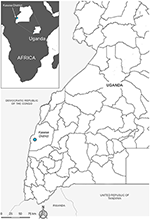 www.frontiersin.org