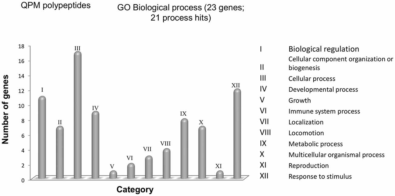 Frontiers Potential Effects Of Msc Derived Exosomes In - 