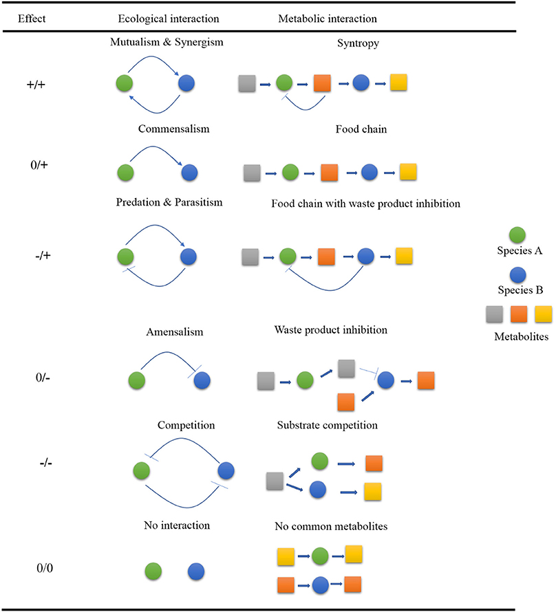 Frontiers | Current Trends and Potential Applications of Microbial Interactions for Human Welfare Frontiers | Current Trends and Potential Applications of Microbial Interactions for Human Welfare