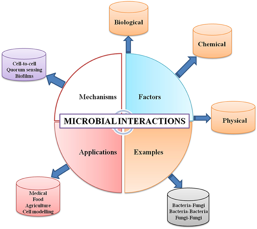 Frontiers | Current Trends and Potential Applications of Microbial Interactions for Human Welfare Frontiers | Current Trends and Potential Applications of Microbial Interactions for Human Welfare
