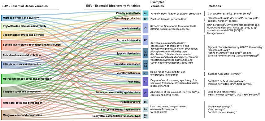 Toward a new data standard for combined marine biological and