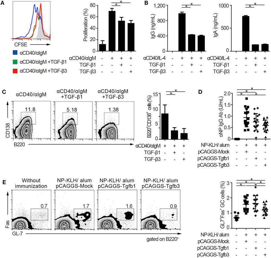 Frontiers Transforming Growth Factor B And Interleukin 10 Synergistically Regulate Humoral Immunity Via Modulating Metabolic Signals Immunology