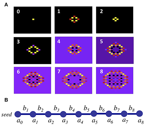 Frontiers A Numerically Exact Approach To Quantum Impurity Problems In Realistic Lattice Geometries Physics