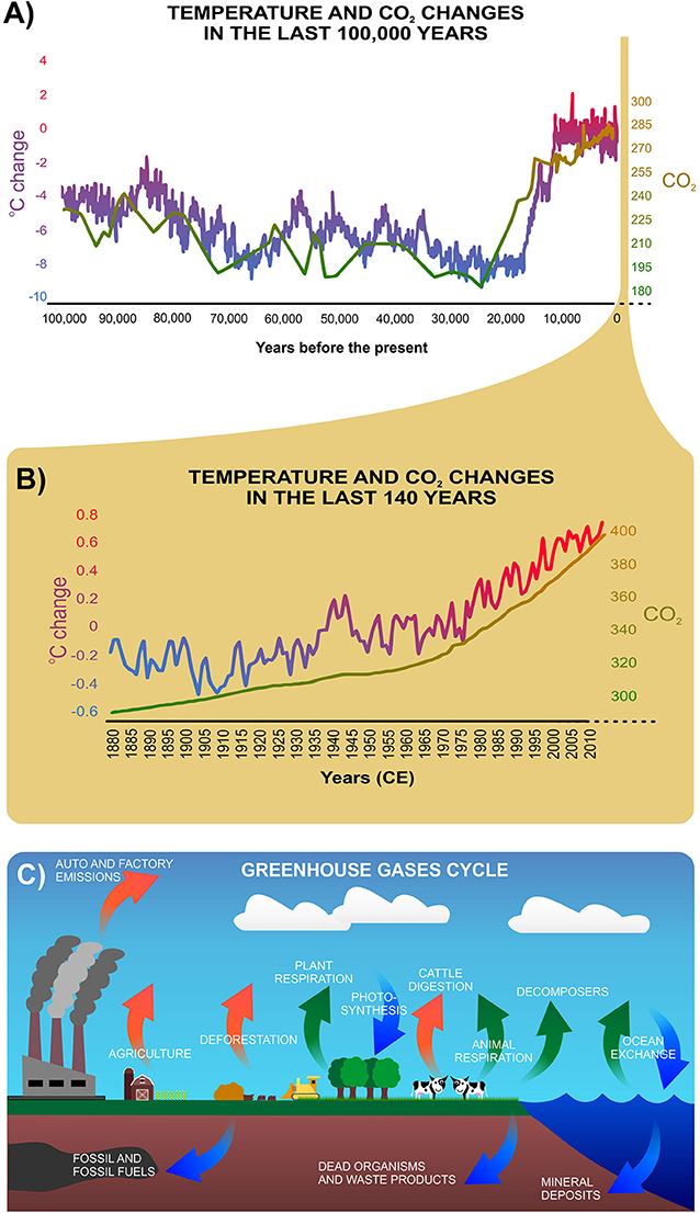 Figure 1 - (A) The changes in average temperature and CO2 levels over the last 100,000 years.