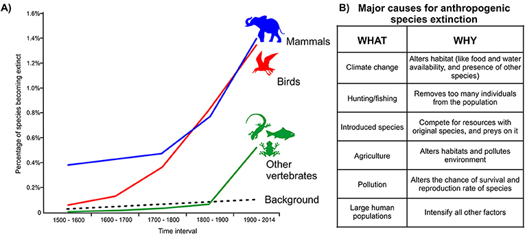 Figure 2 - (A) Vertebrate extinction rates since the year 1500.