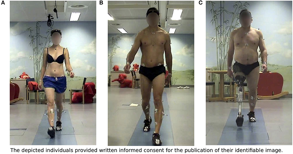 Solved EXERCISE 4 THE BIPEDAL GAIT Work in a group to