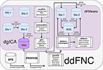 www.frontiersin.org