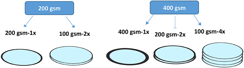 complement technique filtration part 2