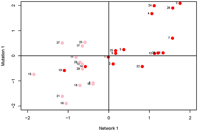 Frontiers | Network Architecture and Mutational Sensitivity of the C ...