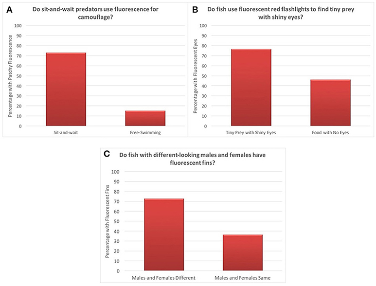 Figure 3 - Results.