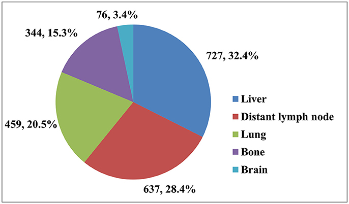 how long does a uterine biopsy results take