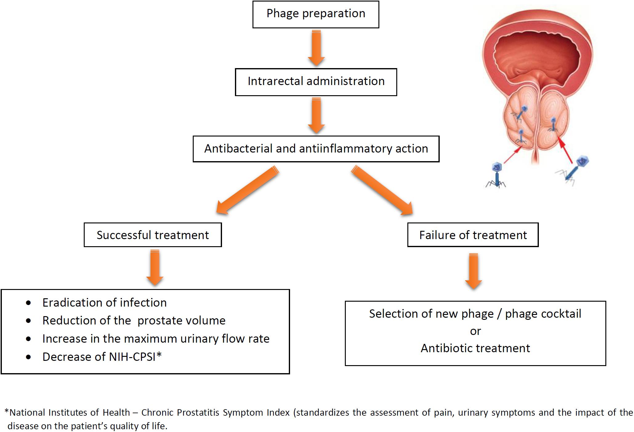 Prostatitis Enterococcus kezelés