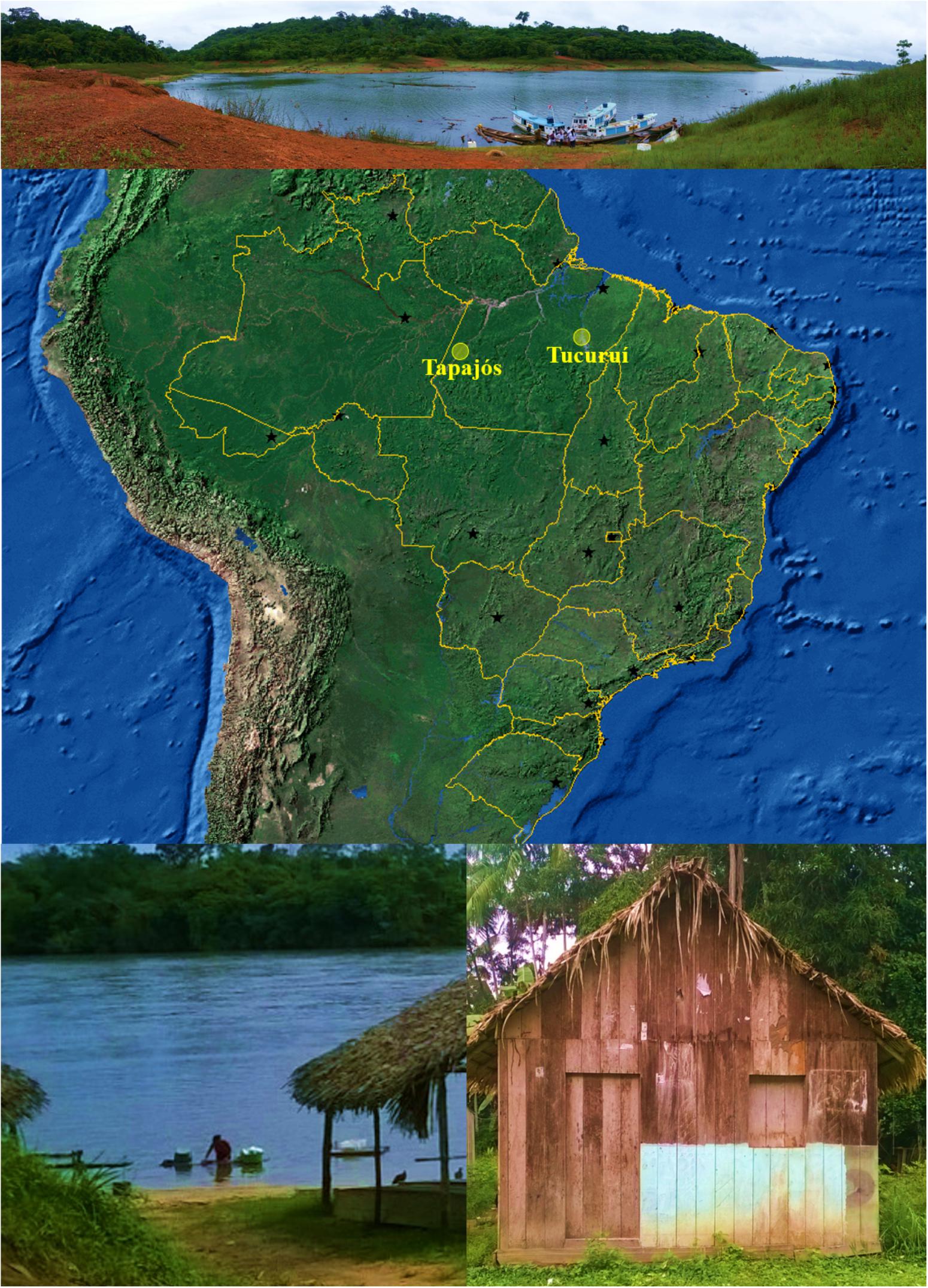 www.frontiersin.org