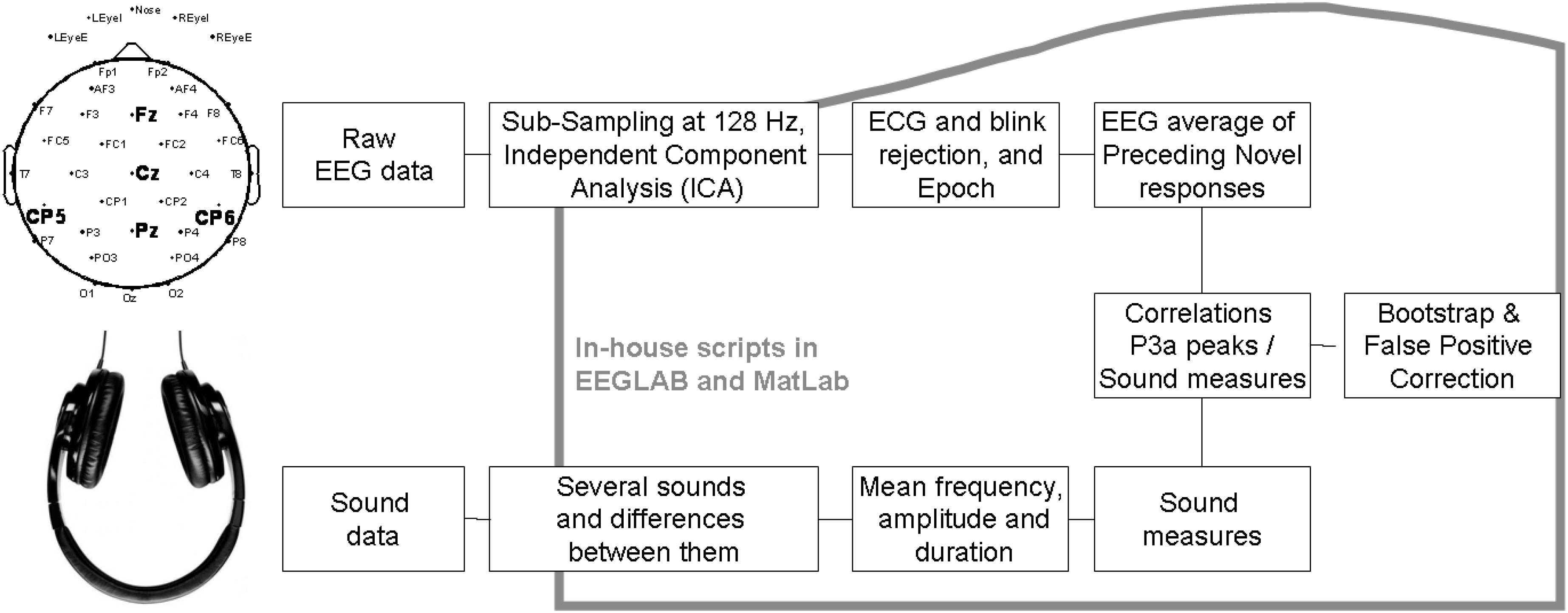 Long-epoch averages showing the ERPs elicited by sequential words